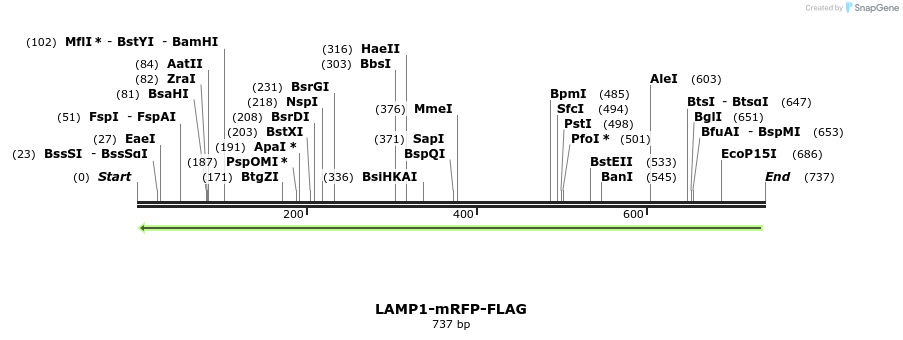 93576_map
