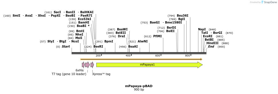 93577_map