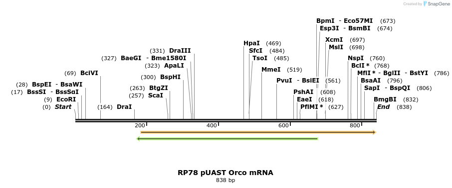 93580_map