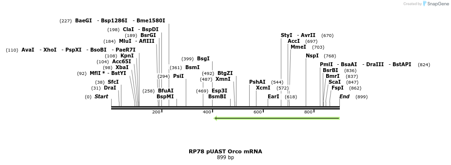 93581_map