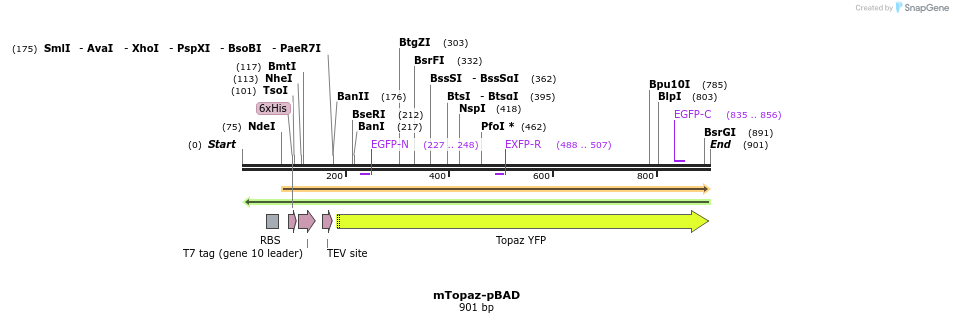 93582_map