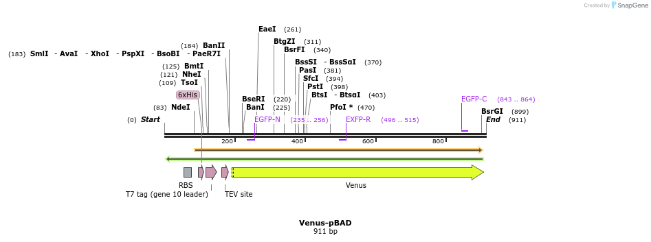 93589_map