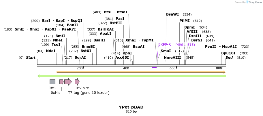 93590_map