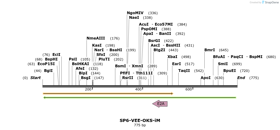 93593_map