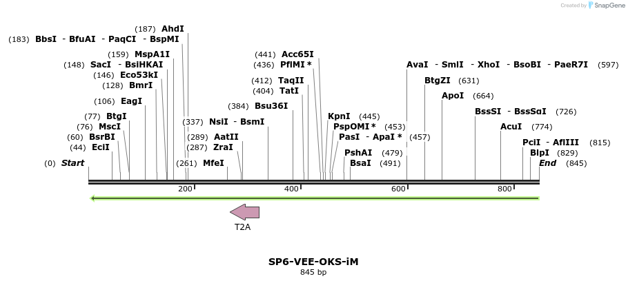 93595_map
