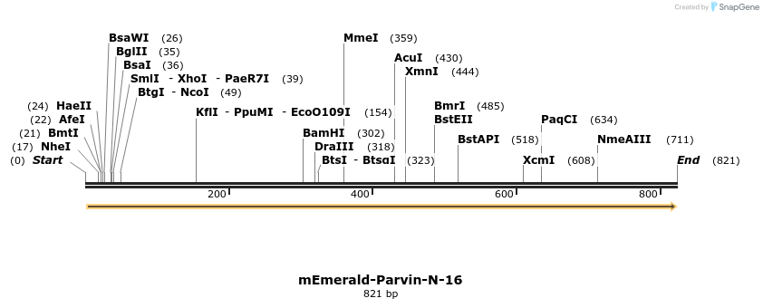 93596_map