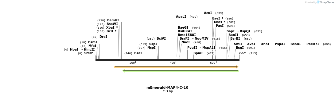 93597_map