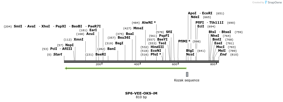 93598_map