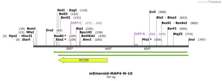 93601_map