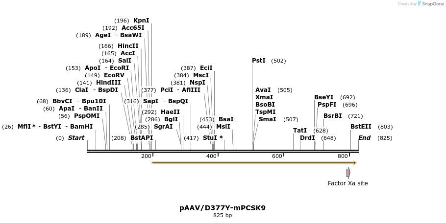93602_map