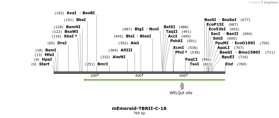 93604_map