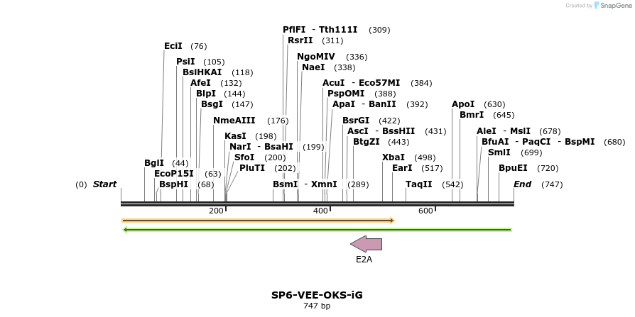 93607_map