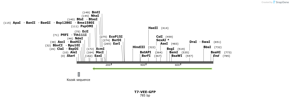 93611_map