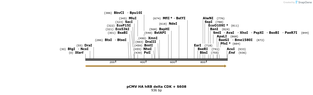 93615_map