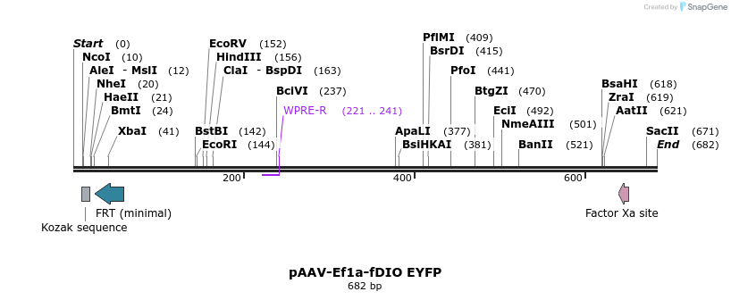 93619_map