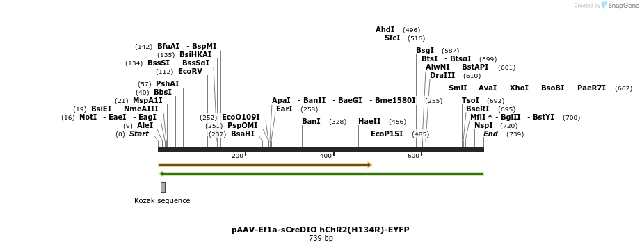 93622_map