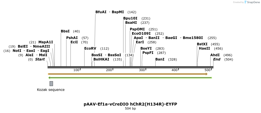 93624_map