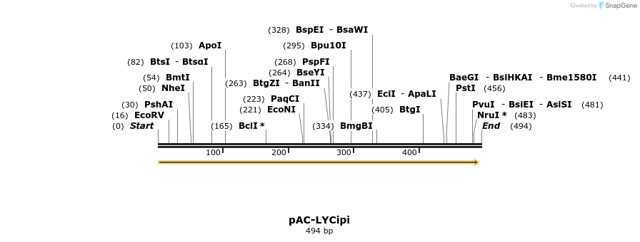 93626_map