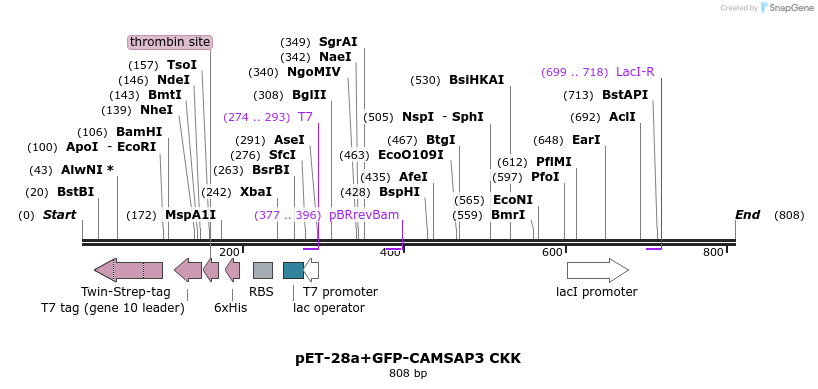 93632_map