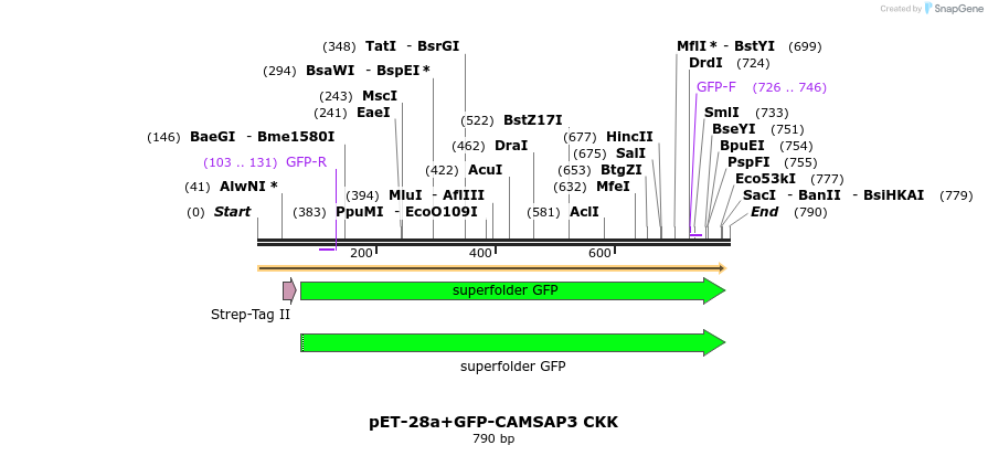 93636_map
