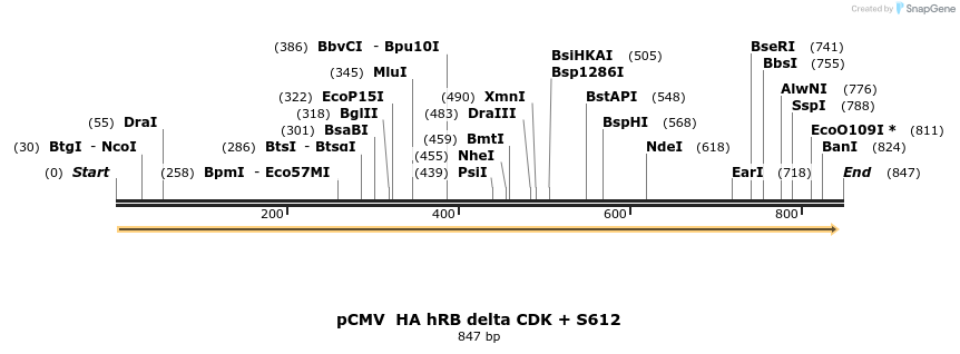 93647_map