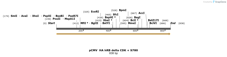 93650_map