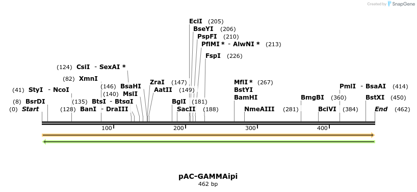93651_map