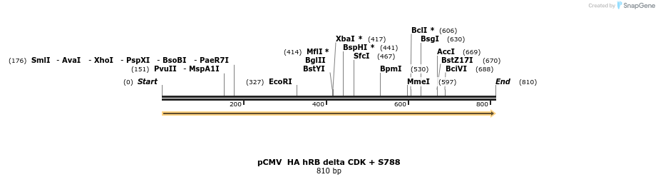 93656_map