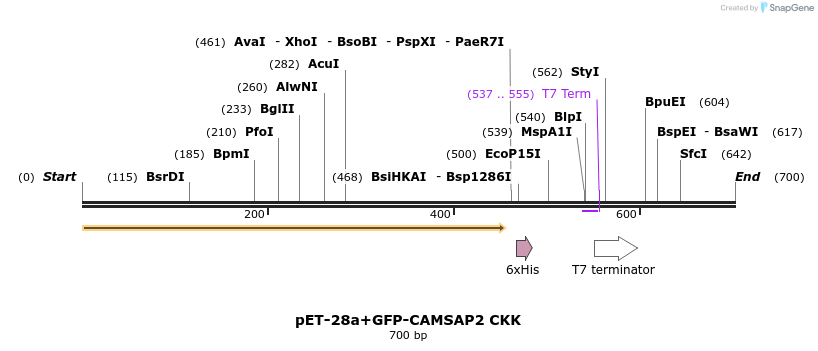 93657_map