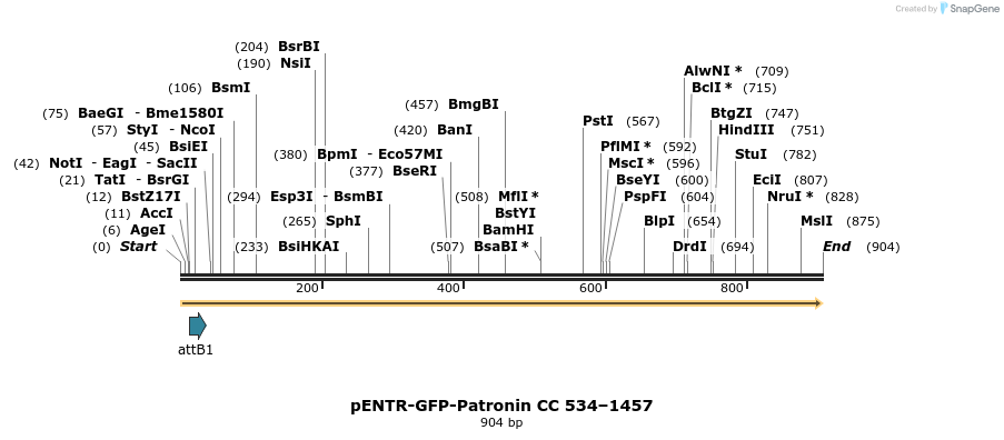93659_map