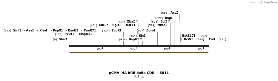 93665_map