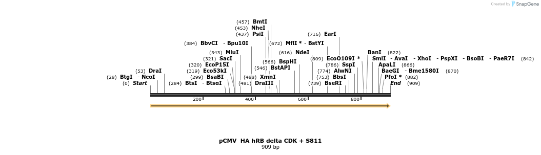 93666_map