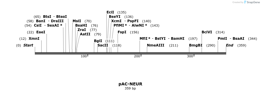 93667_map