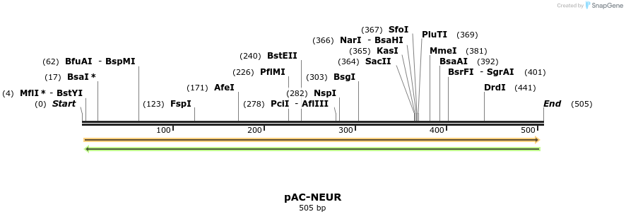 93669_map