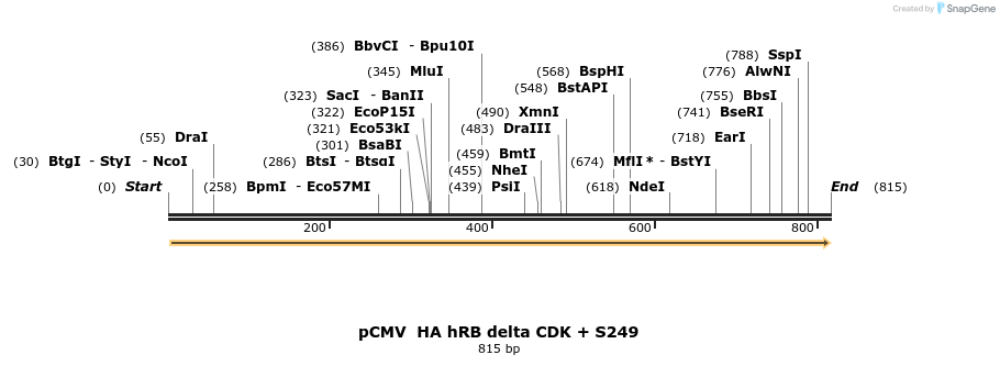 93673_map