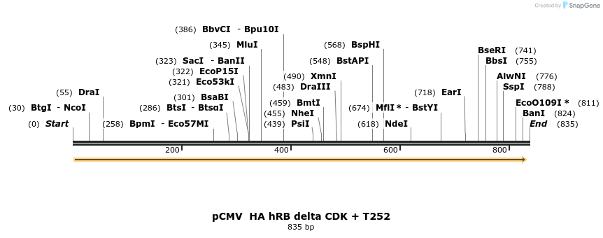 93675_map