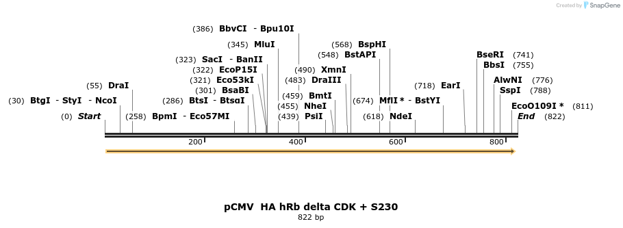 93677_map