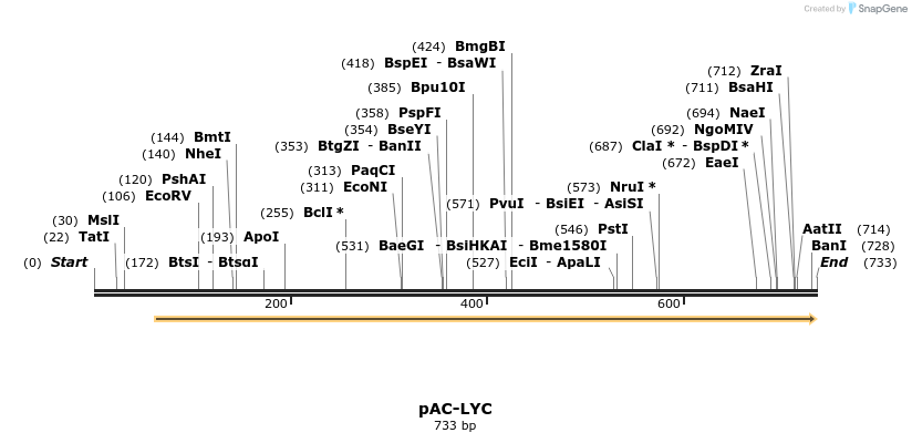 93678_map
