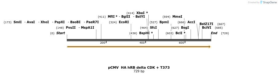93681_map