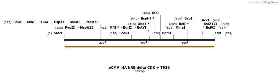 93684_map