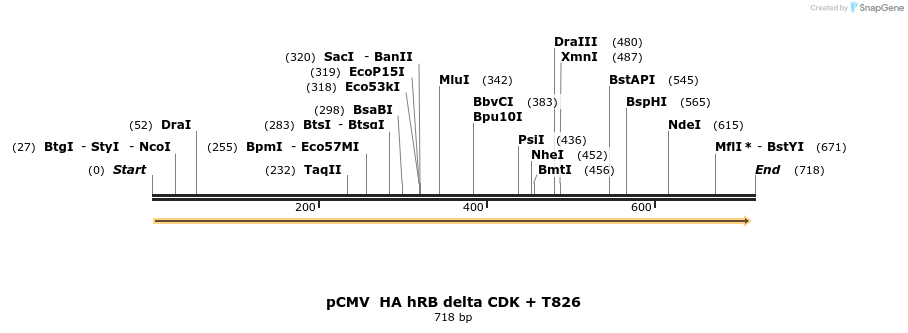 93686_map