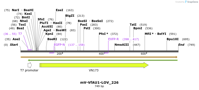 93688_map