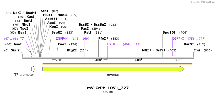 93689_map