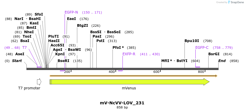 93691_map