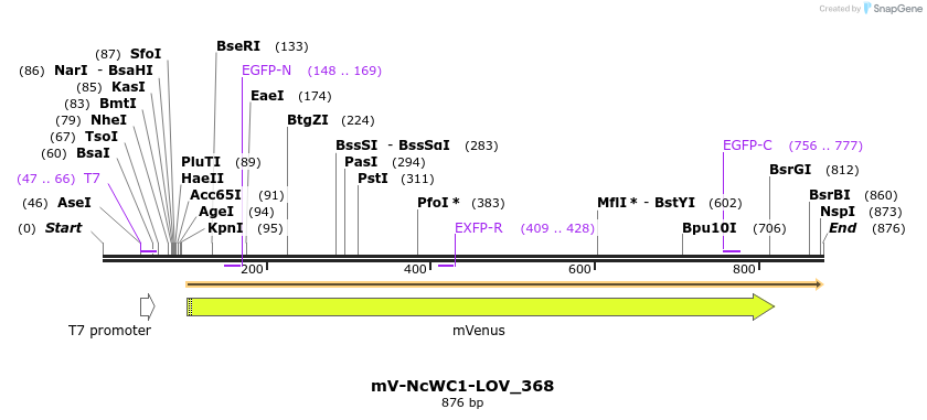 93693_map