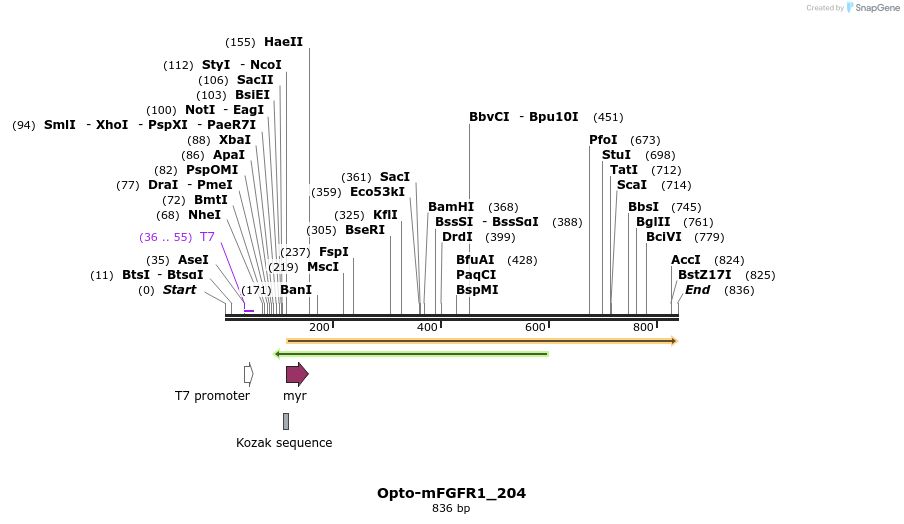 93694_map