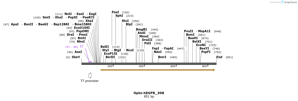93695_map