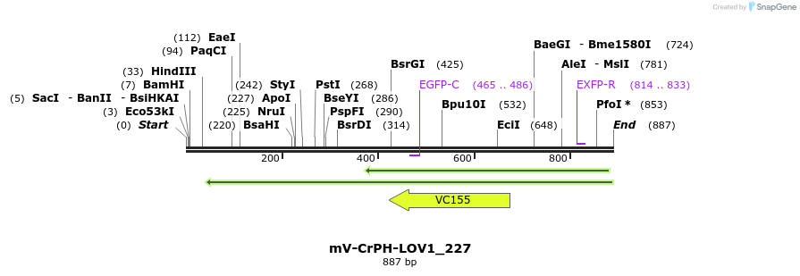 93698_map