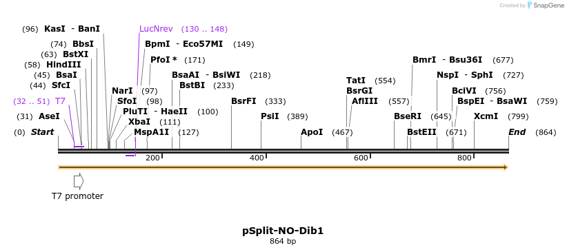 93699_map