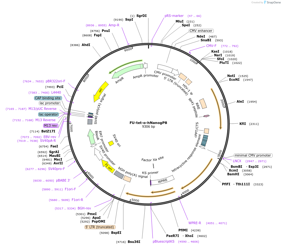 9370_map